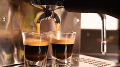 Wild Hawk Espressos